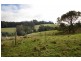 31 Wagner Road, Neerim South VIC 3831