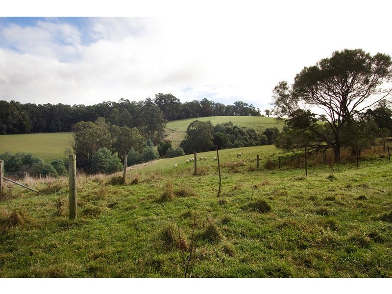 31 Wagner Road, Neerim South VIC 3831