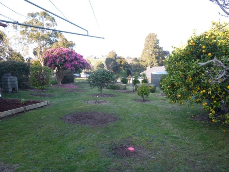 80 Main Neerim Road, Neerim South VIC 3831