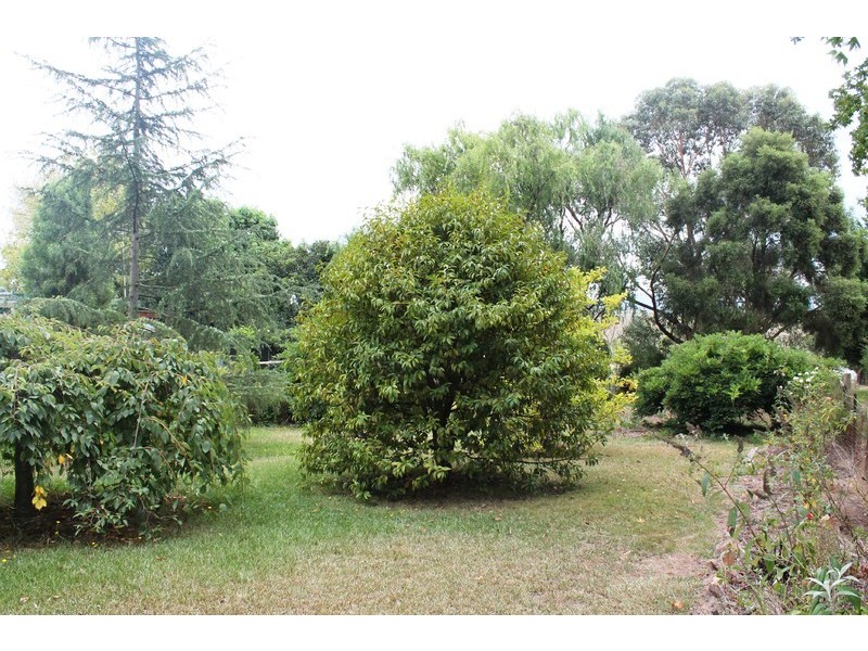 91 Old Sale Road, Drouin West VIC 3818