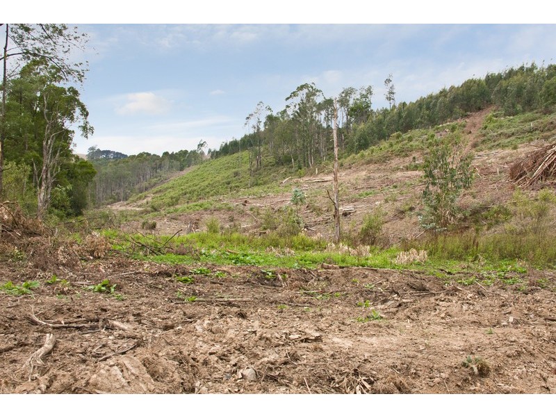 Lot 1 Van Ess Road, Ferndale VIC 3821