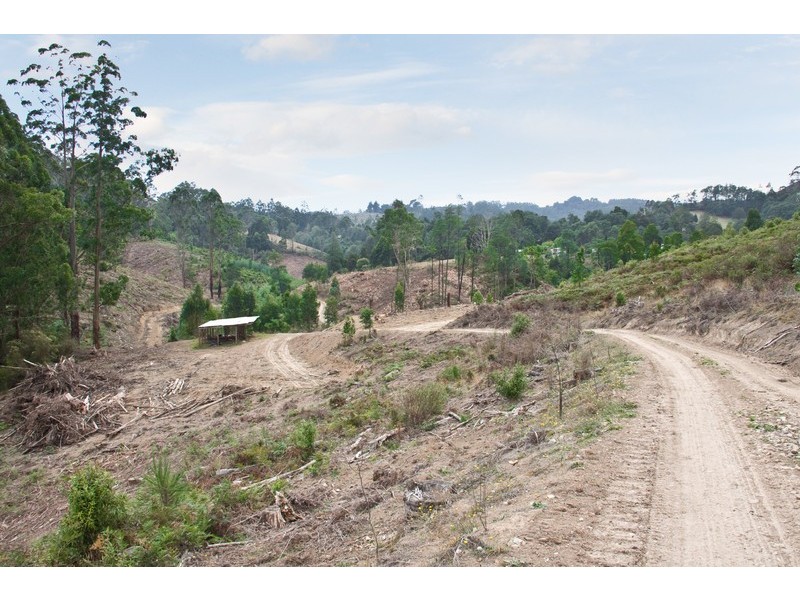 Lot 1 Van Ess Road, Ferndale VIC 3821