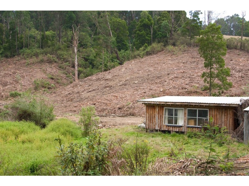 Lot 1 Van Ess Road, Ferndale VIC 3821