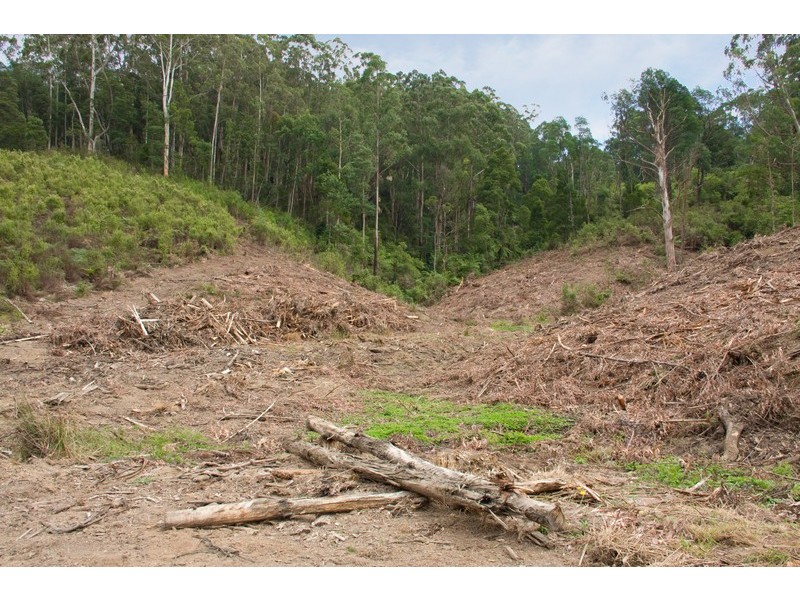 Lot 1 Van Ess Road, Ferndale VIC 3821