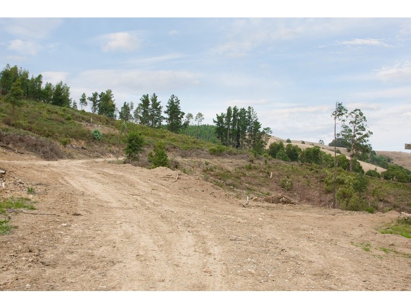 Lot 1 Van Ess Road, Ferndale VIC 3821