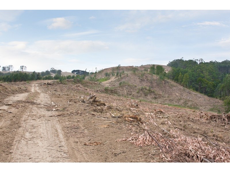 Lot 1 Van Ess Road, Ferndale VIC 3821