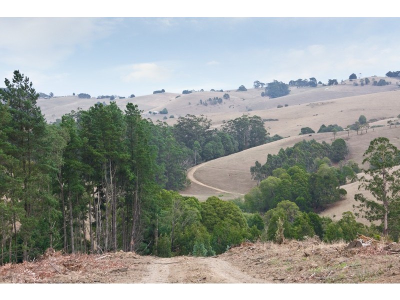Lot 1 Van Ess Road, Ferndale VIC 3821