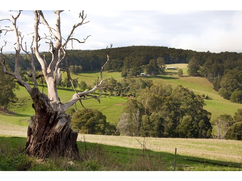 500 Duggan North Road, Fumina VIC 3825