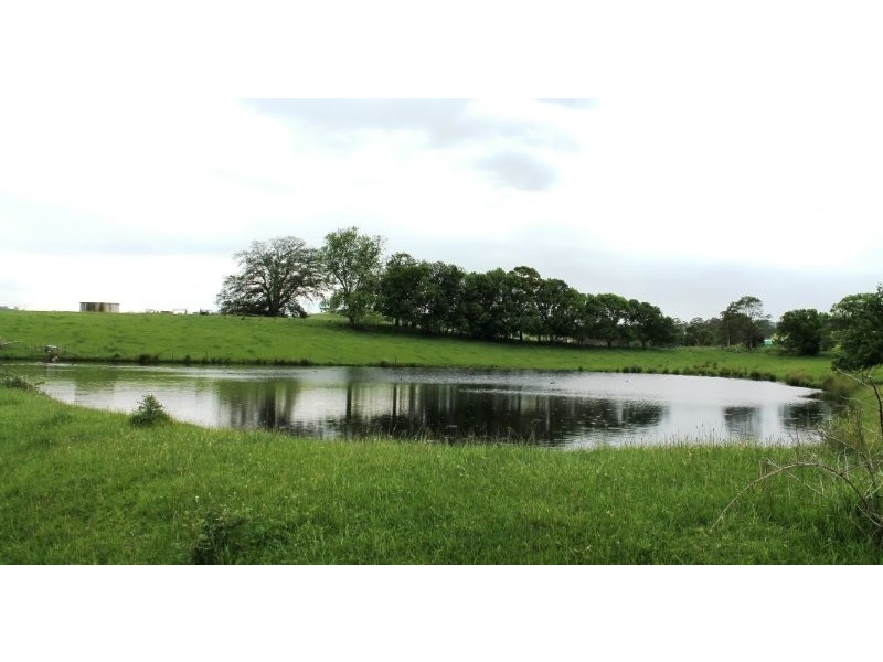 211 Mountain View Road, Mountain View VIC 3988