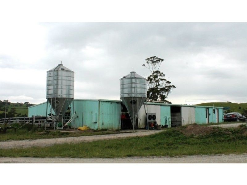 211 Mountain View Road, Mountain View VIC 3988