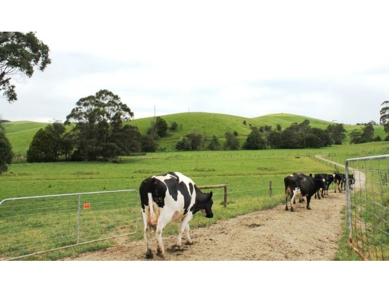 211 Mountain View Road, Mountain View VIC 3988