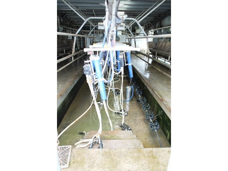 211 Mountain View Road, Mountain View VIC 3988