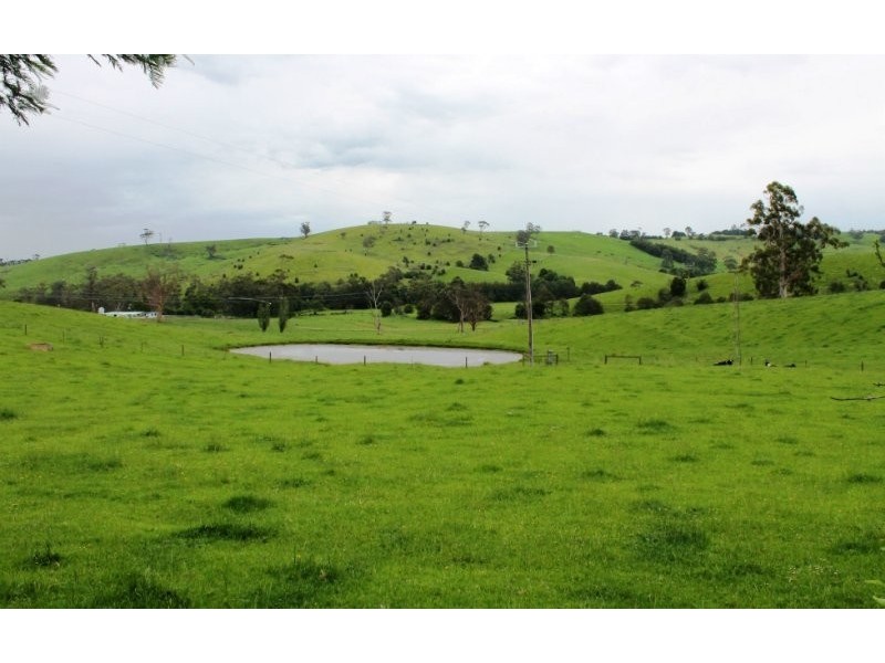 211 Mountain View Road, Mountain View VIC 3988