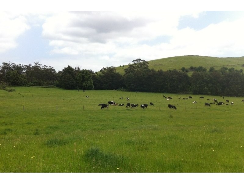 211 Mountain View Road, Mountain View VIC 3988