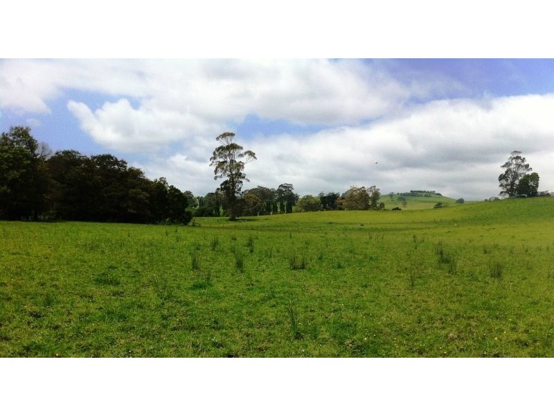 211 Mountain View Road, Mountain View VIC 3988