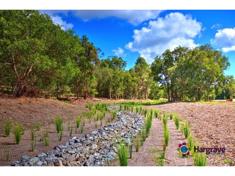 Lot 31,  Forest Oak Court, Cooroy QLD 4563