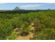 67 Summit Road, Pomona QLD 4568