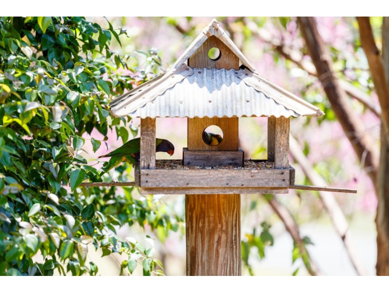 82 Orana Avenue, Pomona QLD 4568