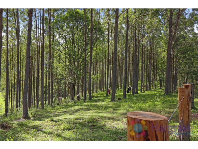 168 Chinamans Ck Road, Tuchekoi QLD 4570