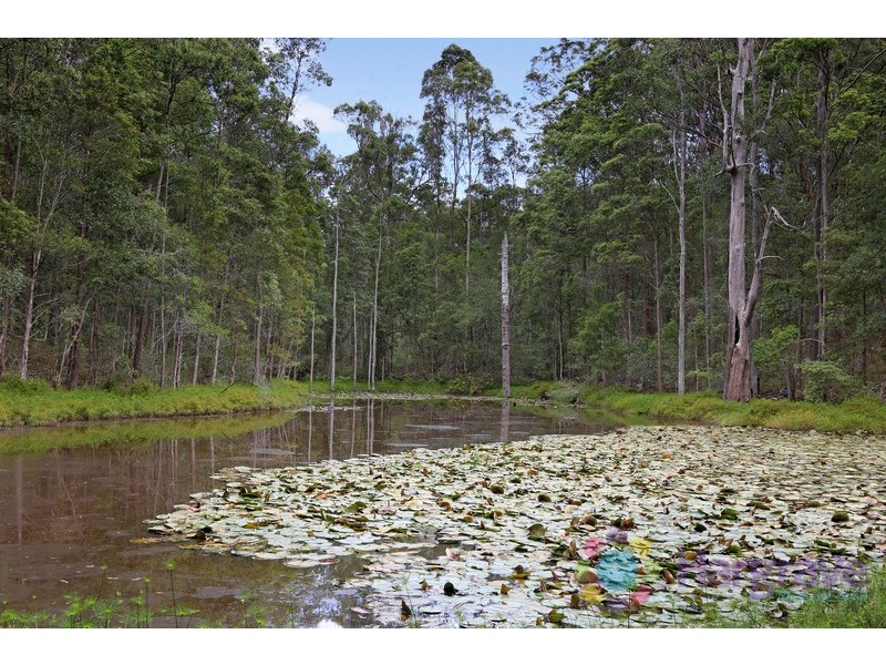 108 Coles Creek Road, Cooran QLD 4569