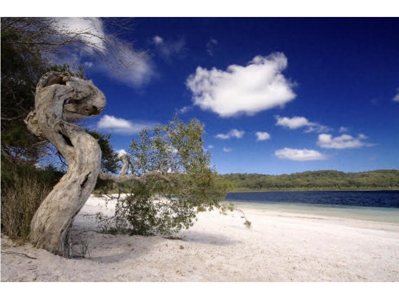 Lot 18 Poyungan Beach, Fraser Island QLD 4581