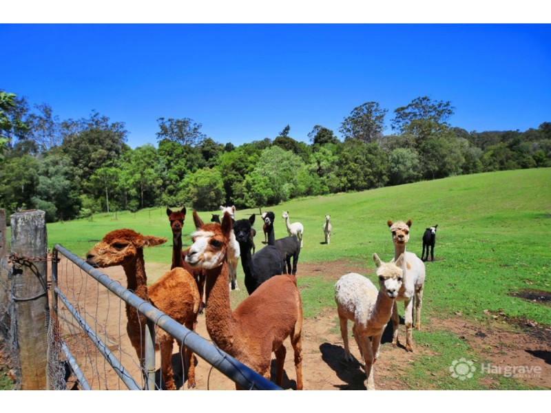 33 Mahers Road, Cooran QLD 4569