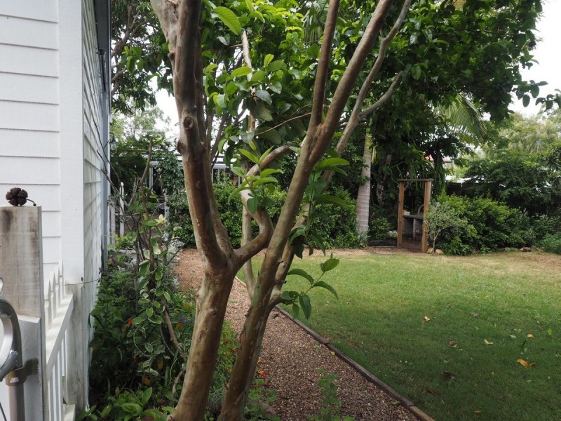 11 Ruby Street, Cooroy QLD 4563
