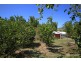 6 Watson Court, Kin Kin QLD 4571