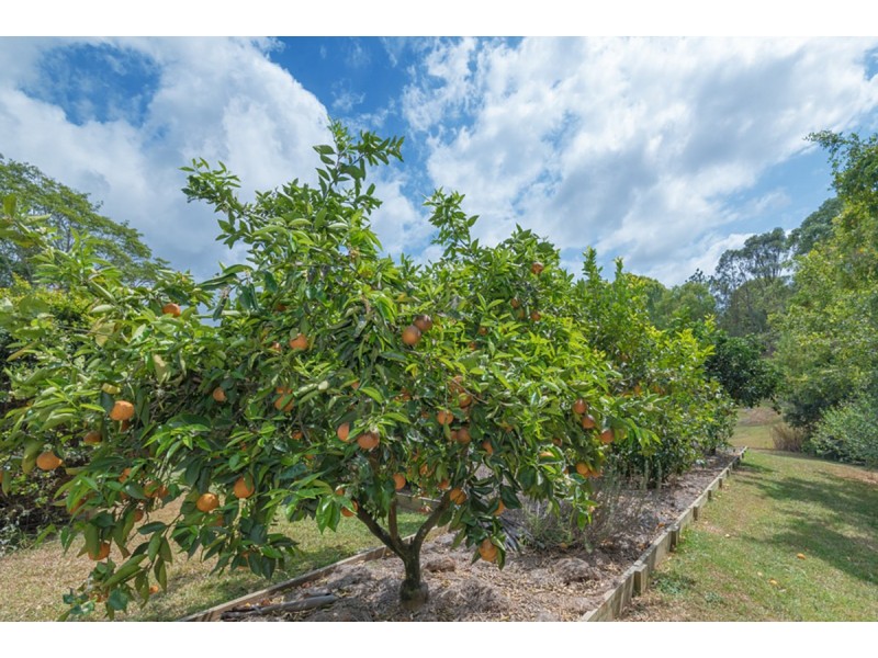 228 Lone Hand Road, Eumundi QLD 4562