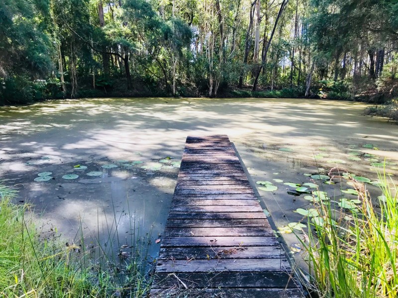 198 Dr Pages Road, Cootharaba QLD 4565