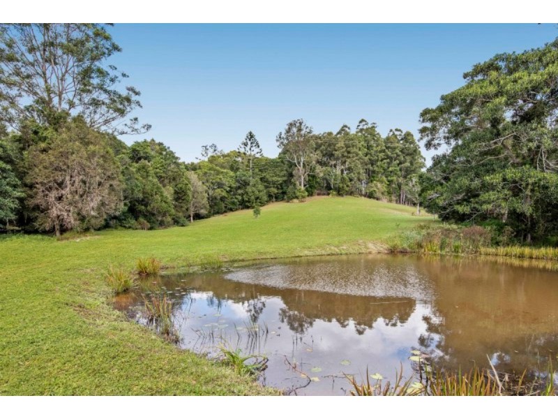 38 Evans Road, Black Mountain QLD 4563