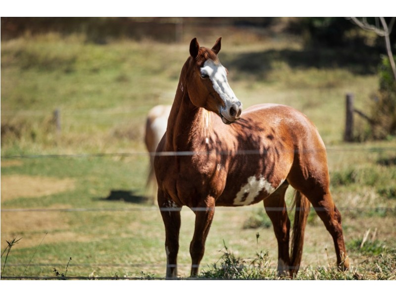 89 Maguires Lane, Cooran QLD 4569