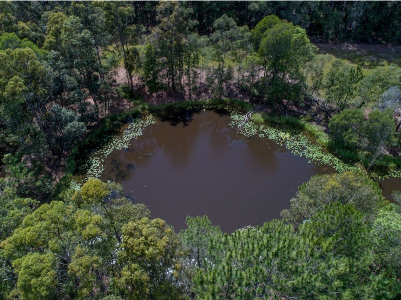 41 Yurol Forest Drive, Pomona QLD 4568