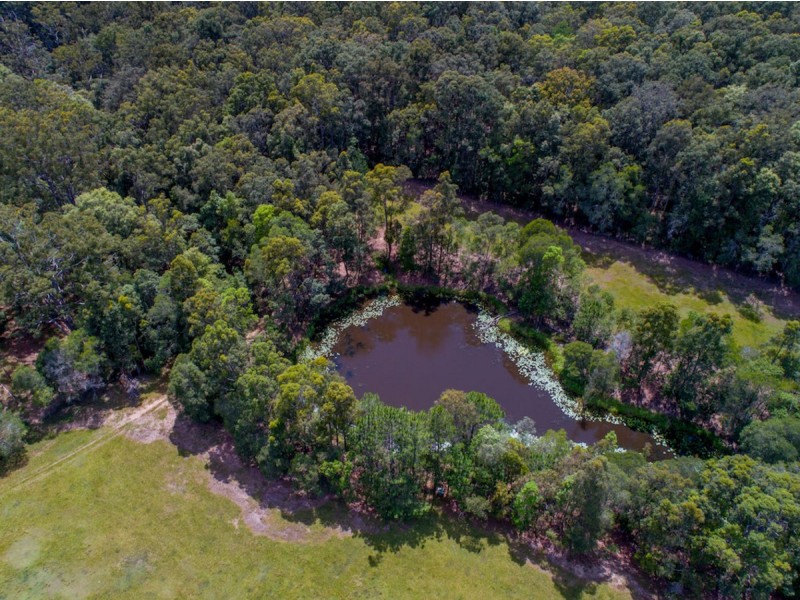 41 Yurol Forest Drive, Pomona QLD 4568