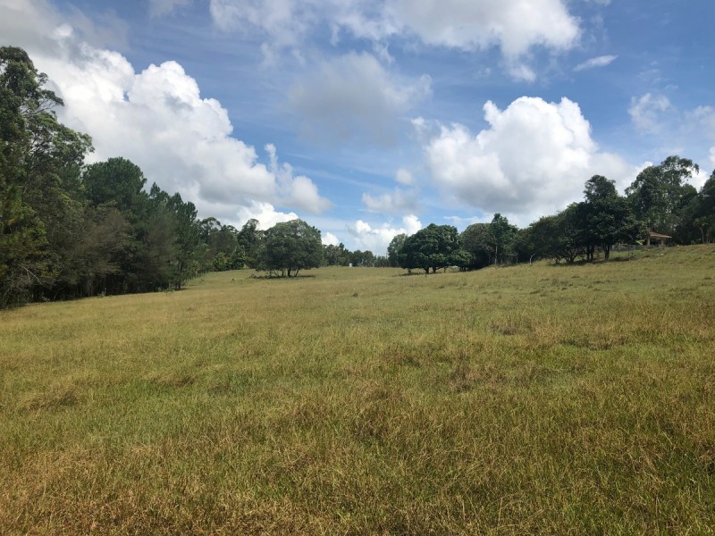 41 Yurol Forest Drive, Pomona QLD 4568