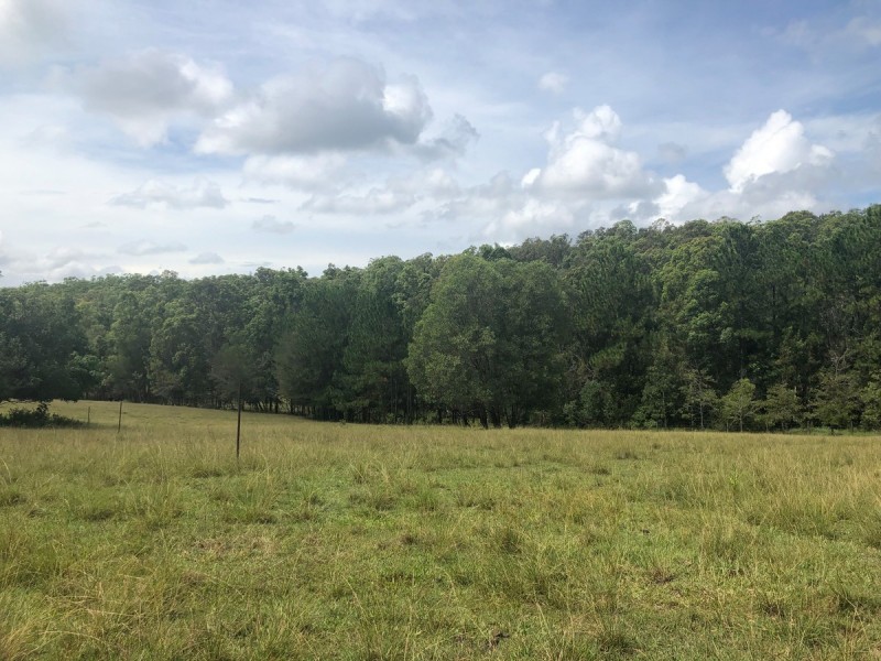 41 Yurol Forest Drive, Pomona QLD 4568