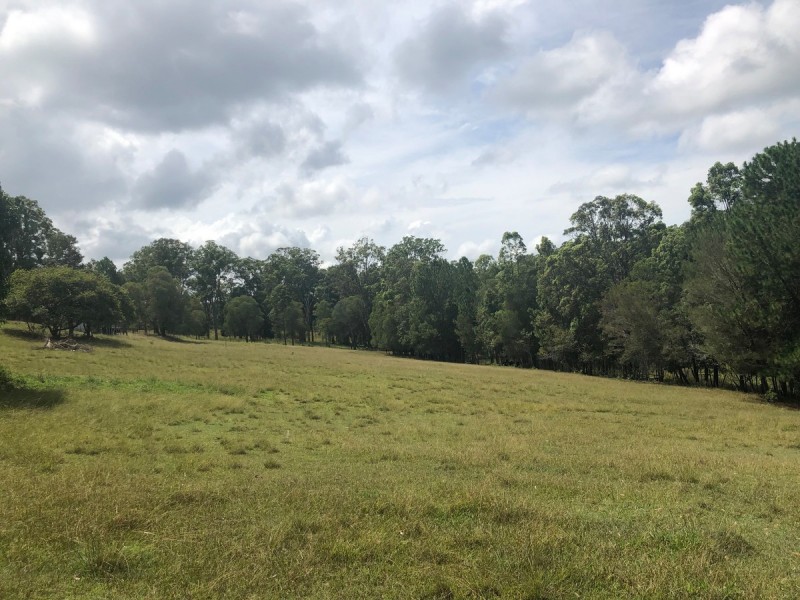 41 Yurol Forest Drive, Pomona QLD 4568