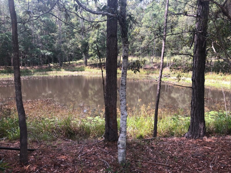 41 Yurol Forest Drive, Pomona QLD 4568