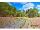 Lot 34, Blue Wren Place, Cooroy QLD 4563