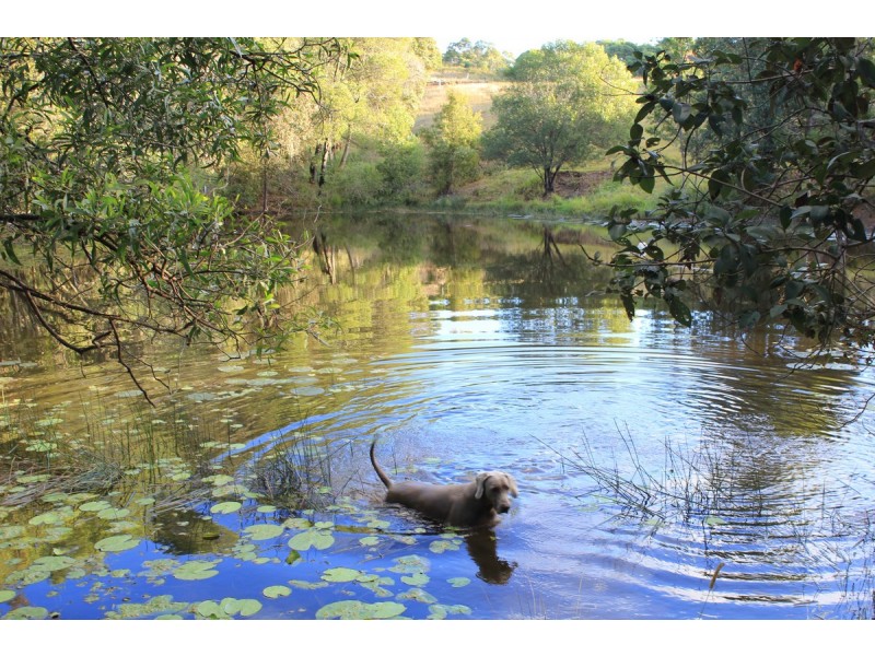 226 Tandur-Traveston Road, Traveston QLD 4570