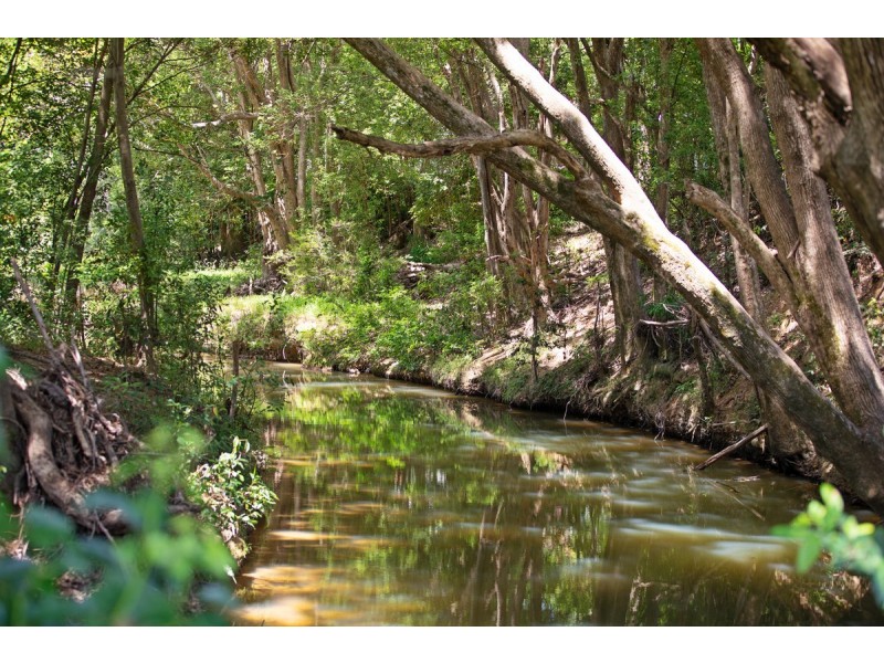 33 Middle Creek Road, Federal QLD 4568