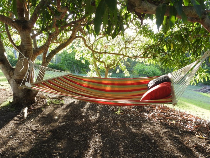 3 Martin Street, Cooran QLD 4569