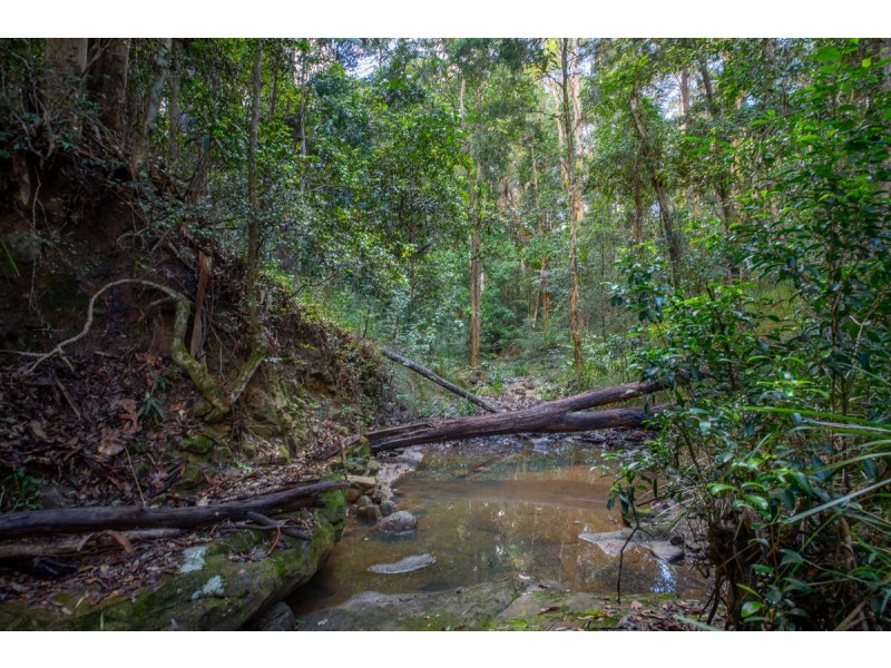 400 Ringtail Creek Road, Ringtail Creek QLD 4565