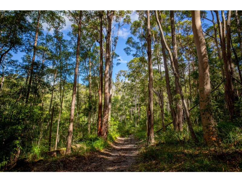 400 Ringtail Creek Road, Ringtail Creek QLD 4565