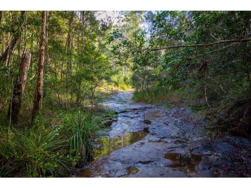 400 Ringtail Creek Road, Ringtail Creek QLD 4565