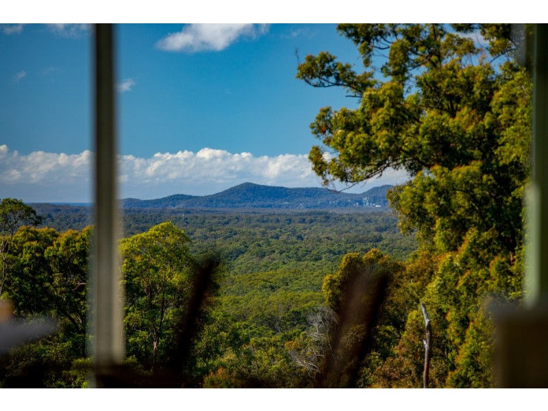400 Ringtail Creek Road, Ringtail Creek QLD 4565
