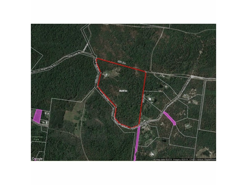 400 Ringtail Creek Road, Ringtail Creek QLD 4565 Floorplan