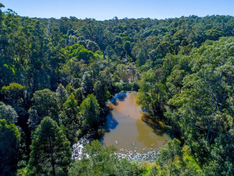 344 Sankeys Road, Cooran QLD 4569