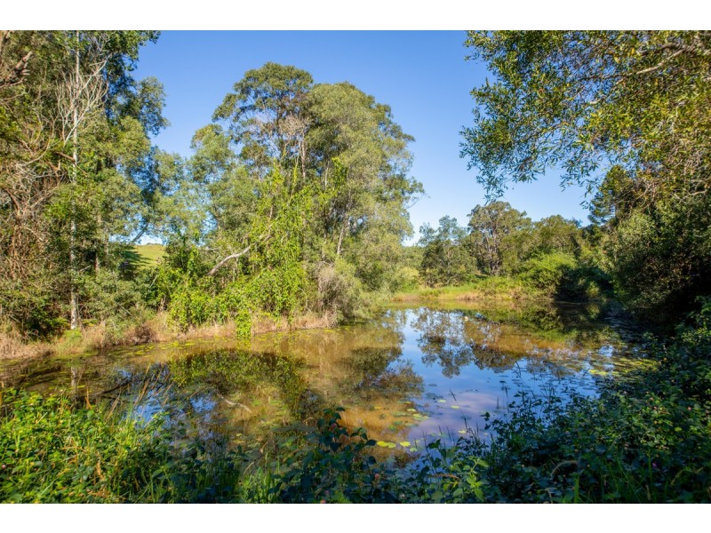 344 Sankeys Road, Cooran QLD 4569