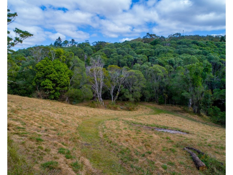 10 Brush Box La, Federal QLD 4568